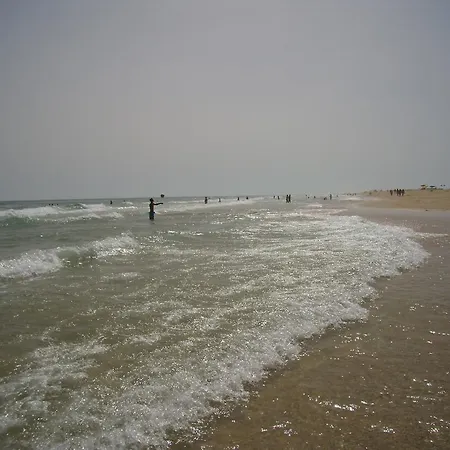 Hébergement de vacances Casa Da Amoreira *